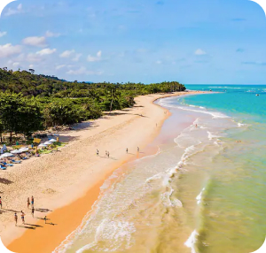 Lu Viana - Transfers e Passeios em Porto Seguro