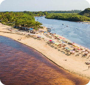 Lu Viana - Transfers e Passeios em Porto Seguro