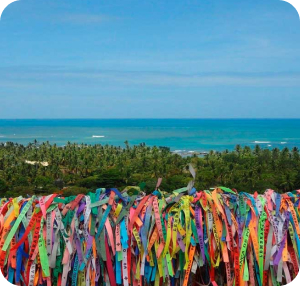 Lu Viana - Transfers e Passeios em Porto Seguro