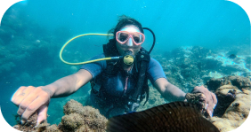 Lu Viana - Transfers e Passeios em Porto Seguro