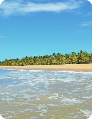 Lu Viana - Transfers e Passeios em Porto Seguro!